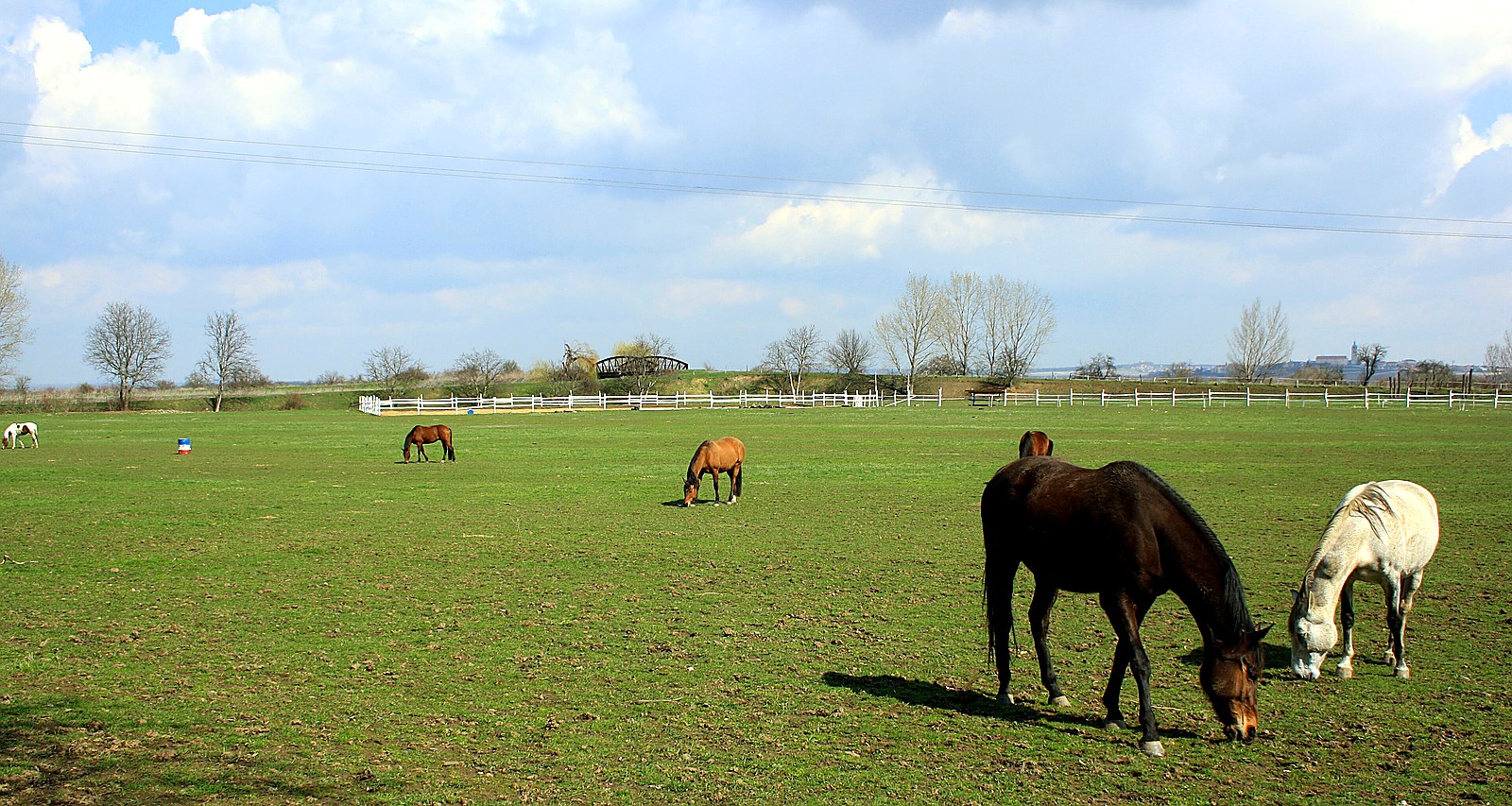 
<span>most přes plavební kanál u Zelčína</span>
