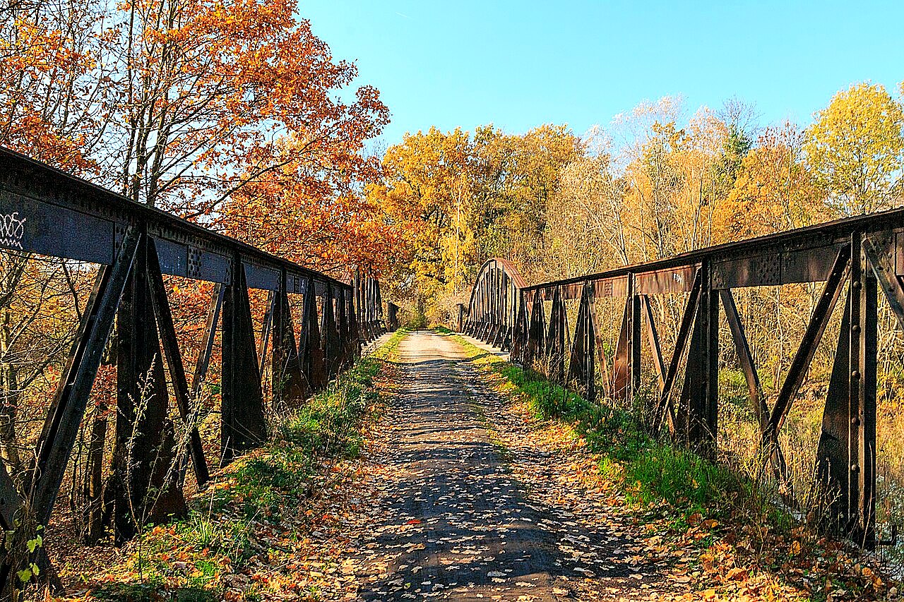 
<span>Červeňák</span>
