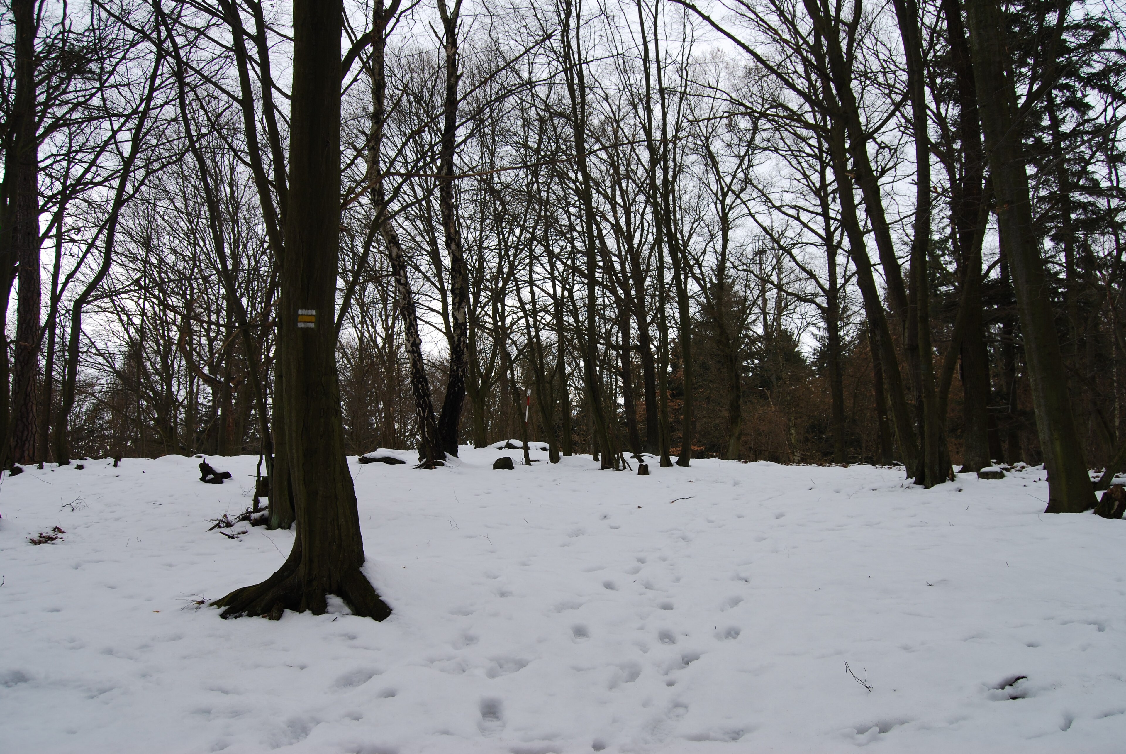 Dnešní pohled – Boudy