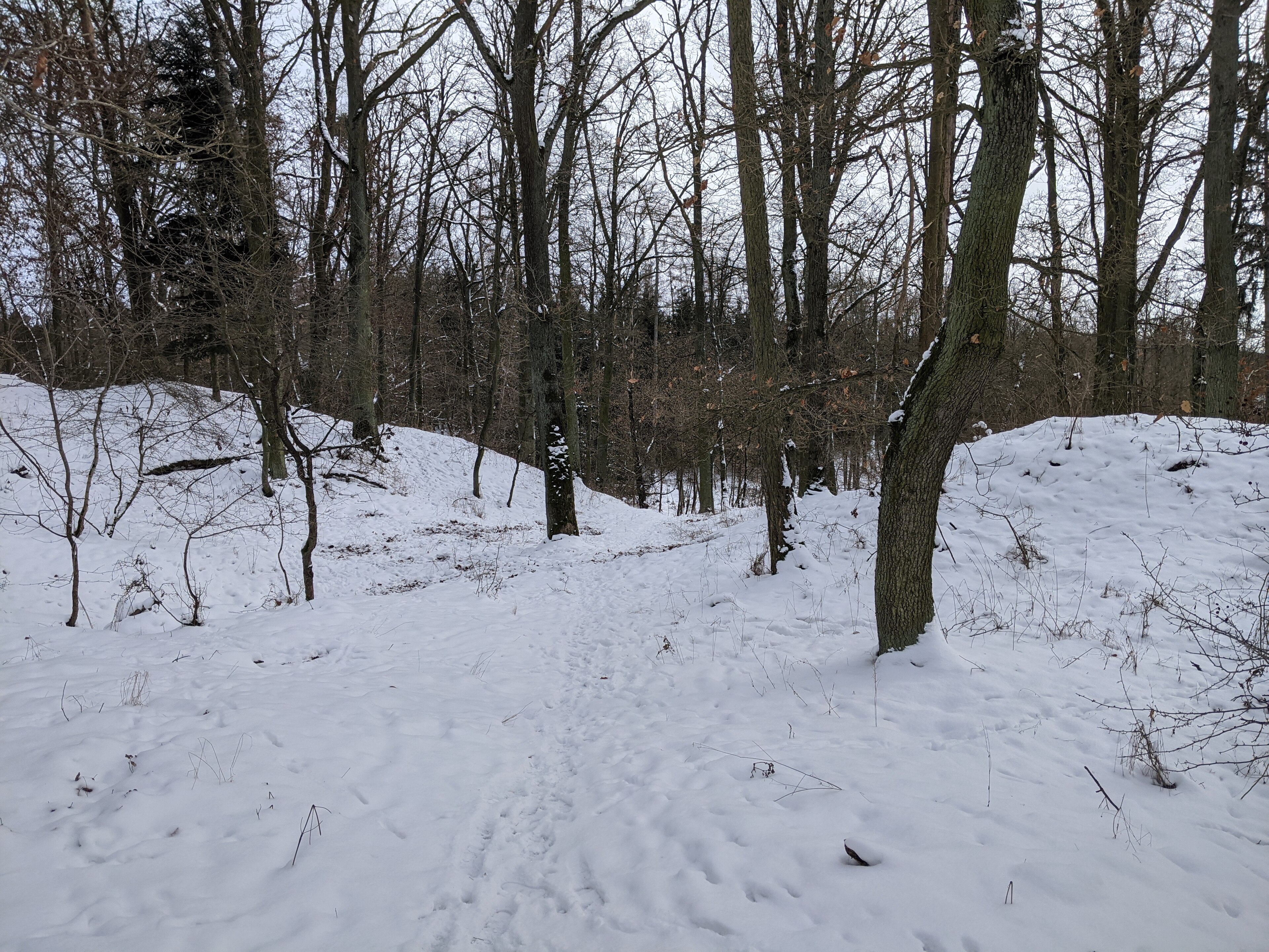 Dnešní pohled – Bozeň