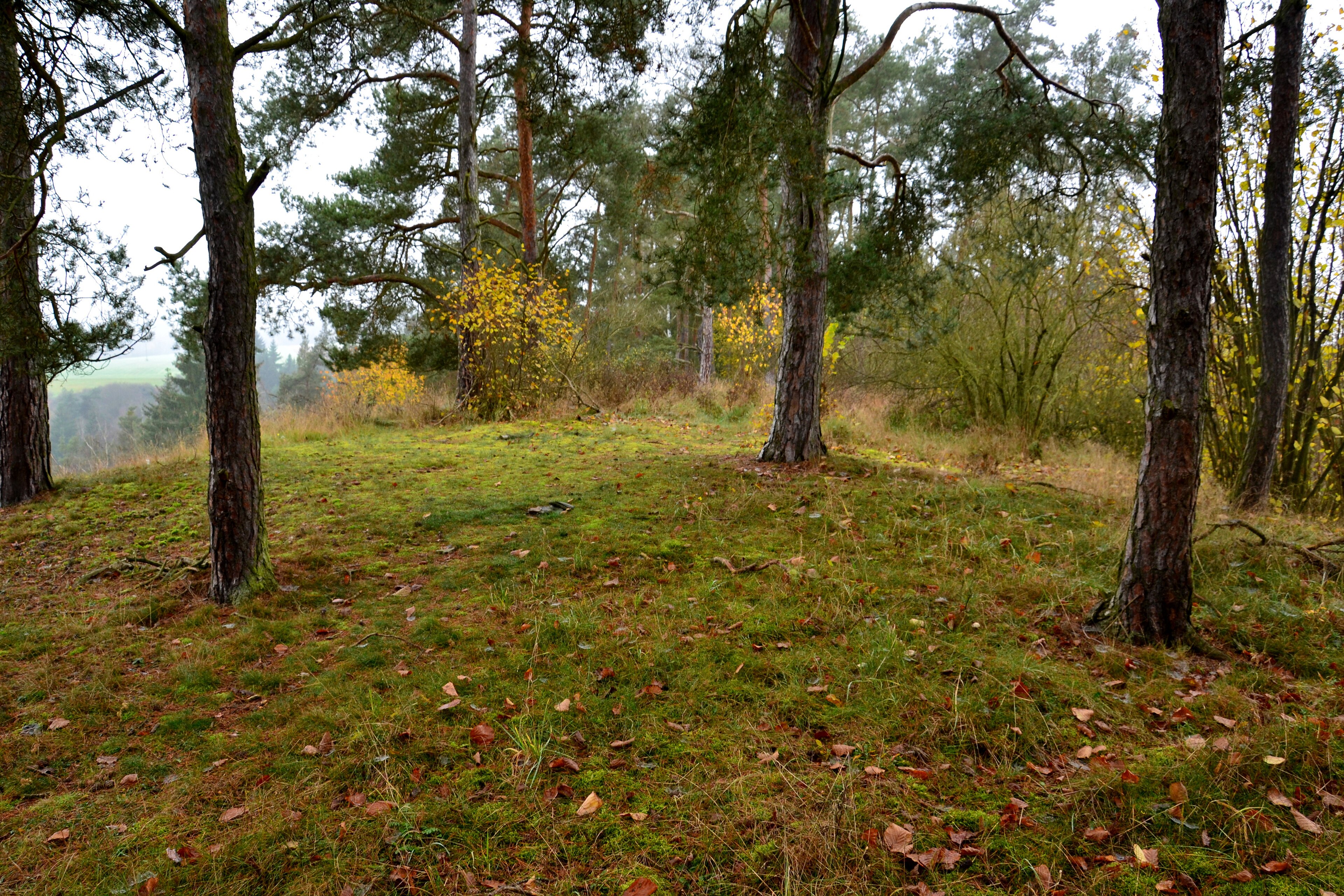Dnešní pohled – Brdo