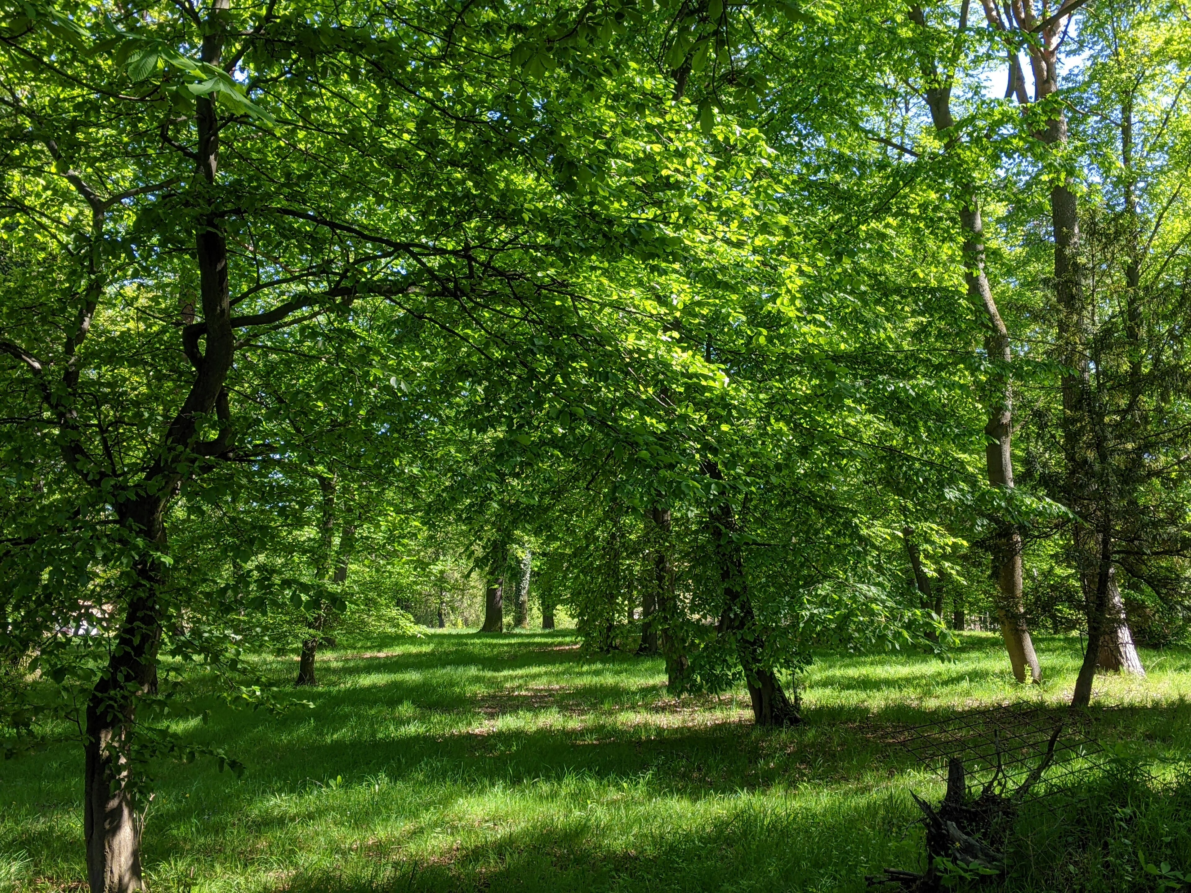 Dnešní pohled – Býchory
