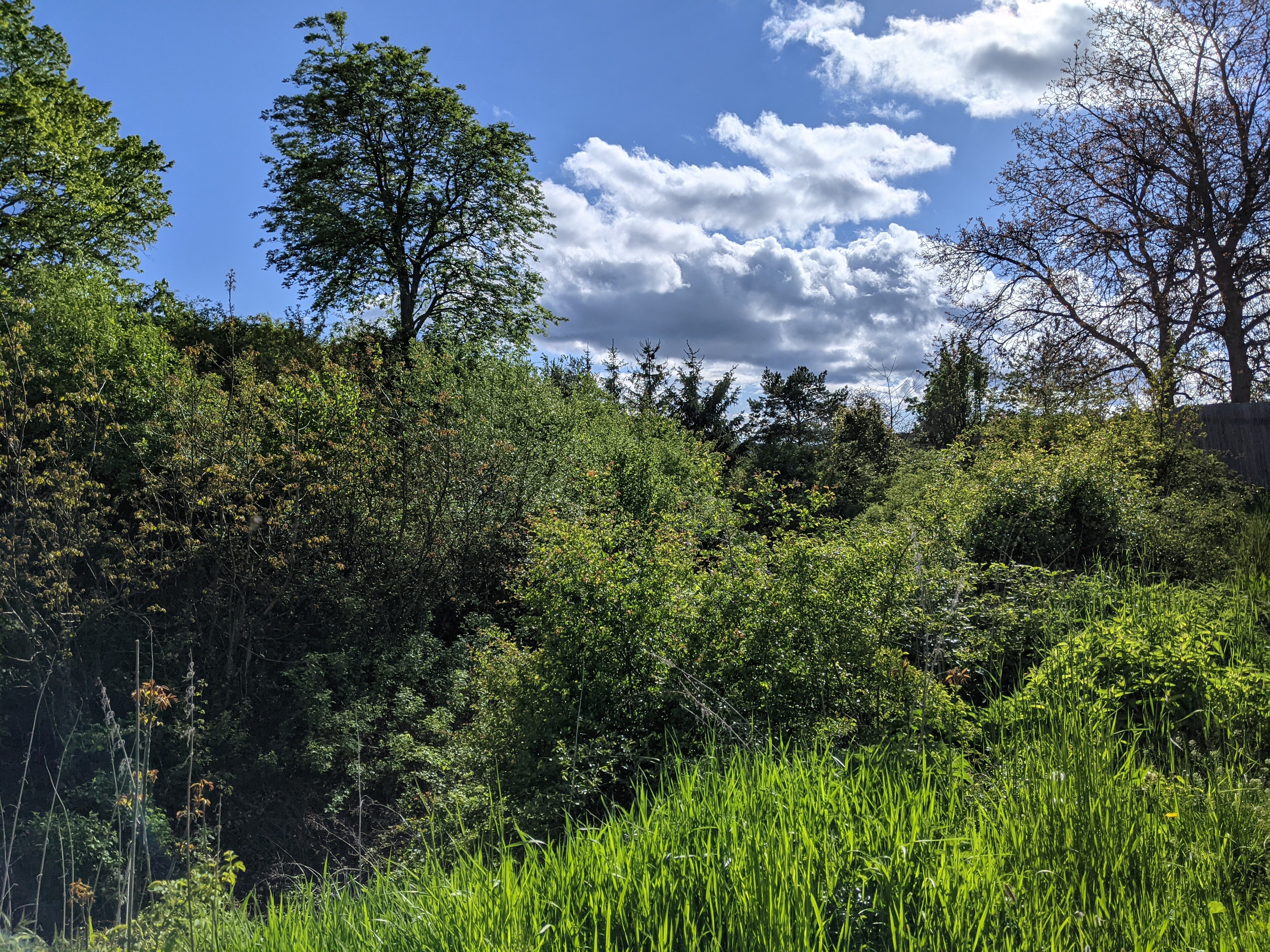 Dnešní pohled – Drahlín