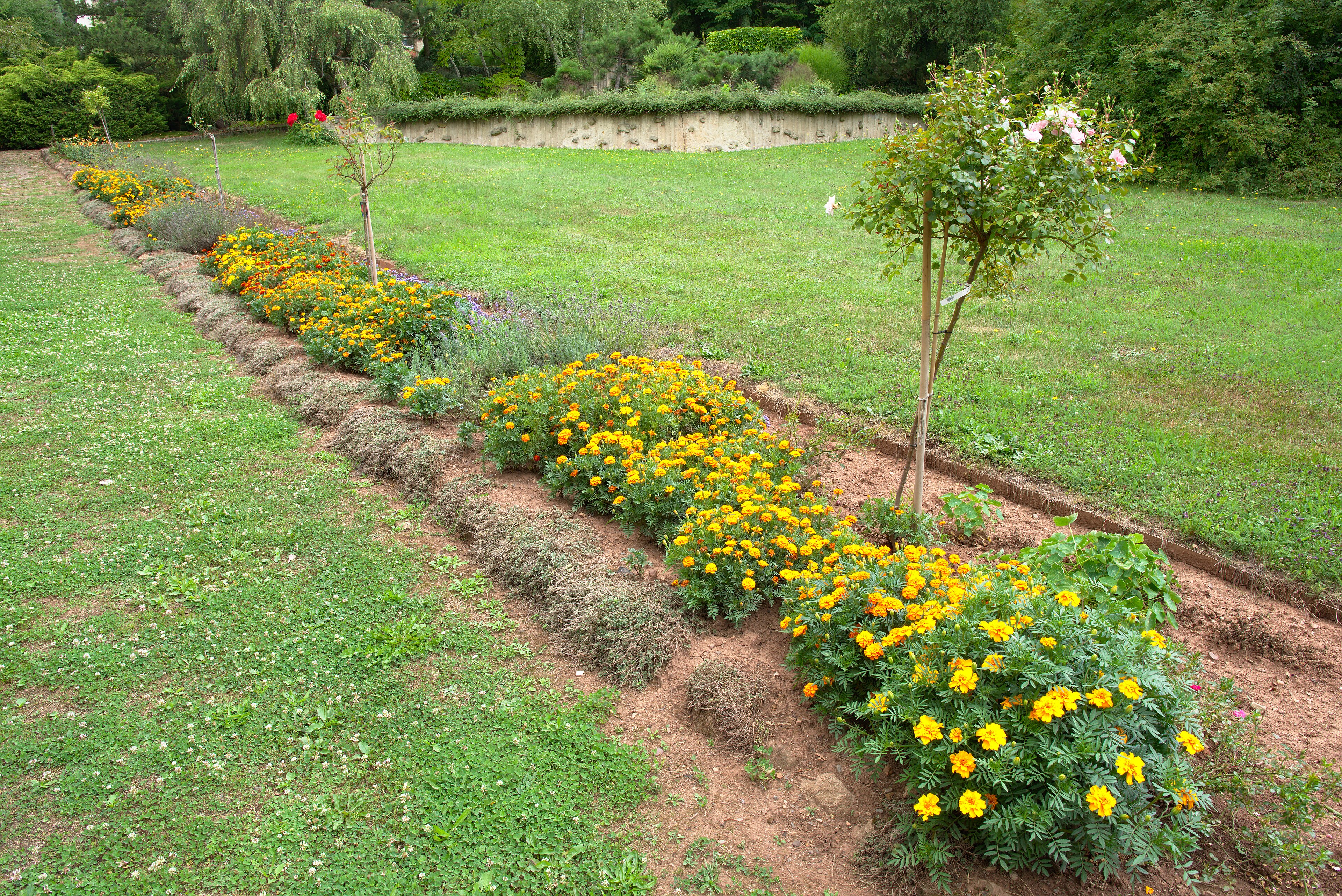 Dnešní pohled – Arboretum Borotín