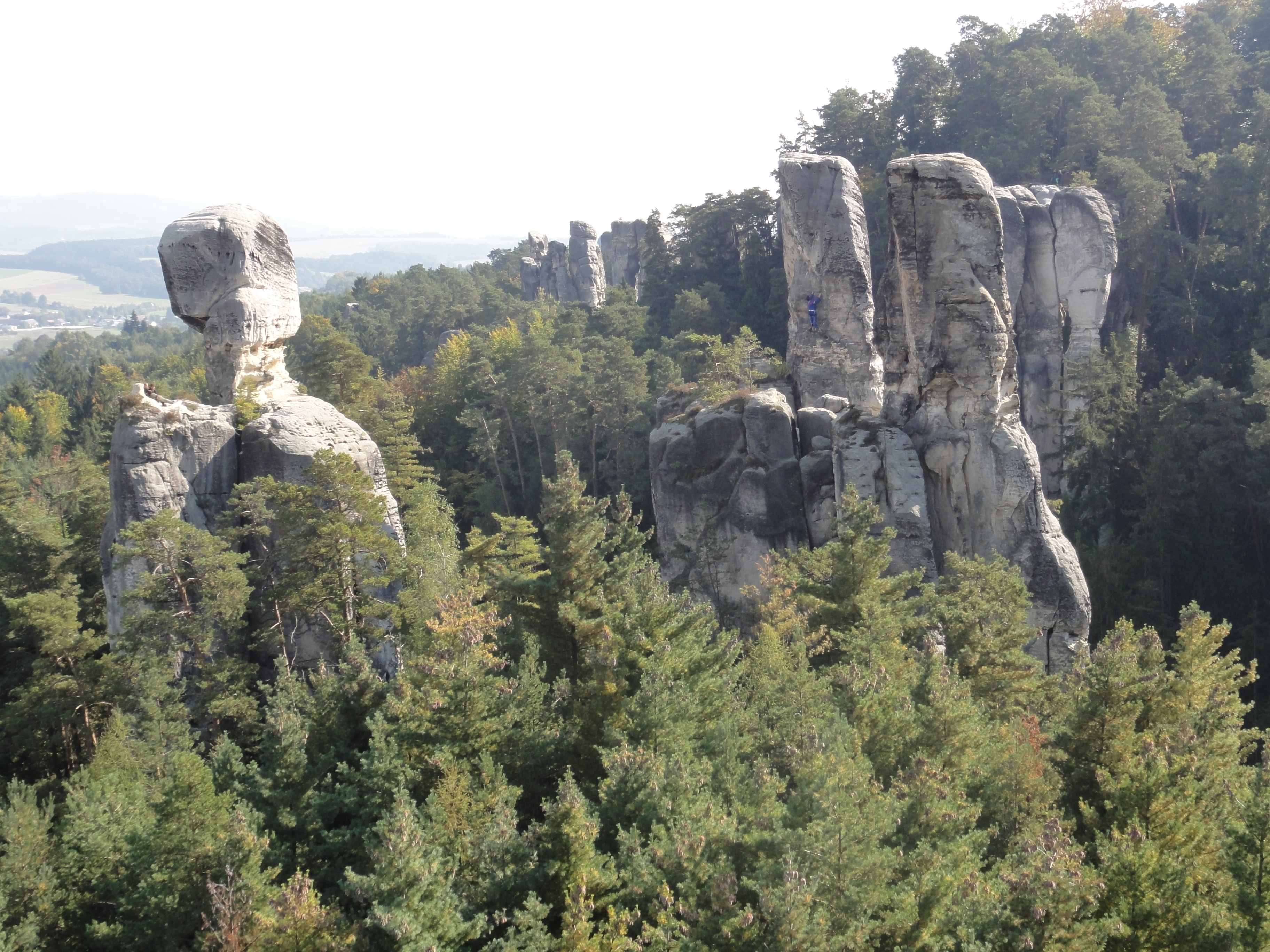 Dnešní pohled – Arboretum Bukovina