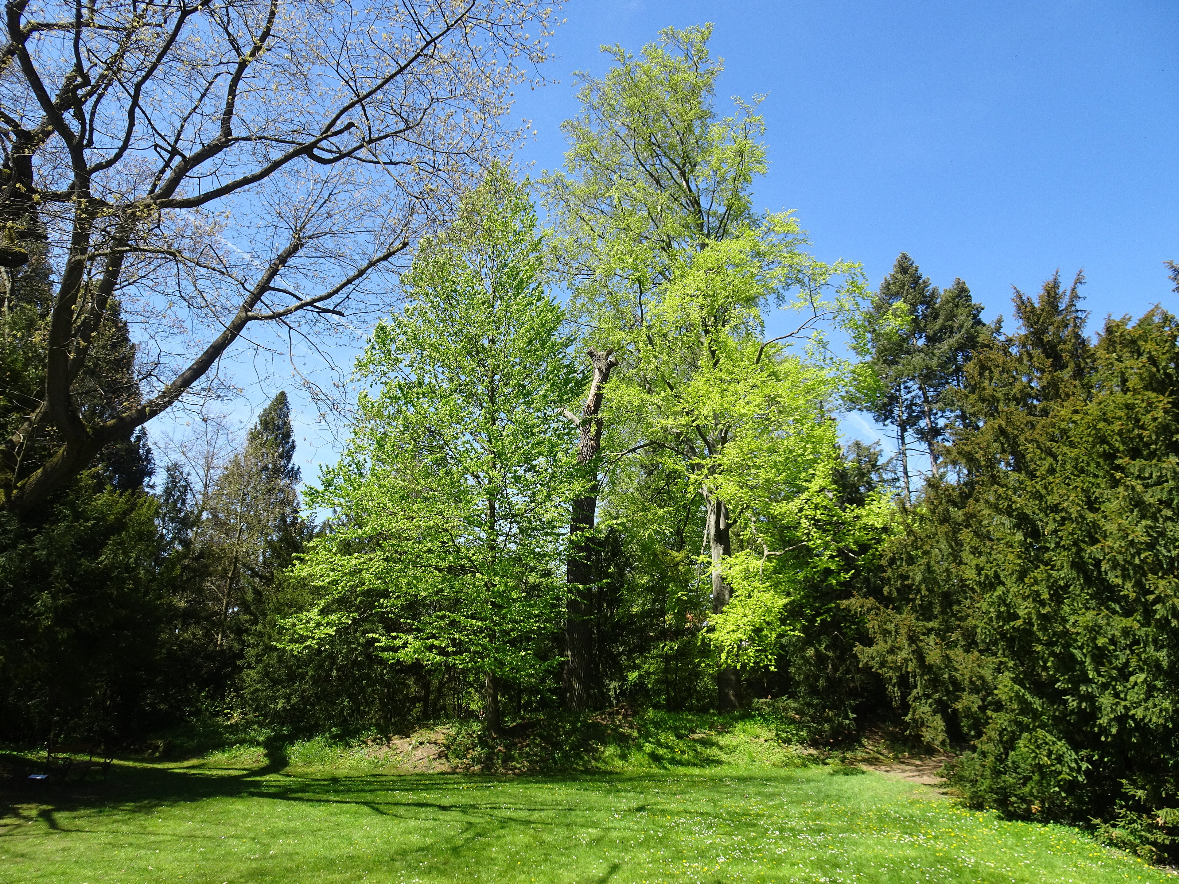 Dnešní pohled – Arboretum Bílá Lhota