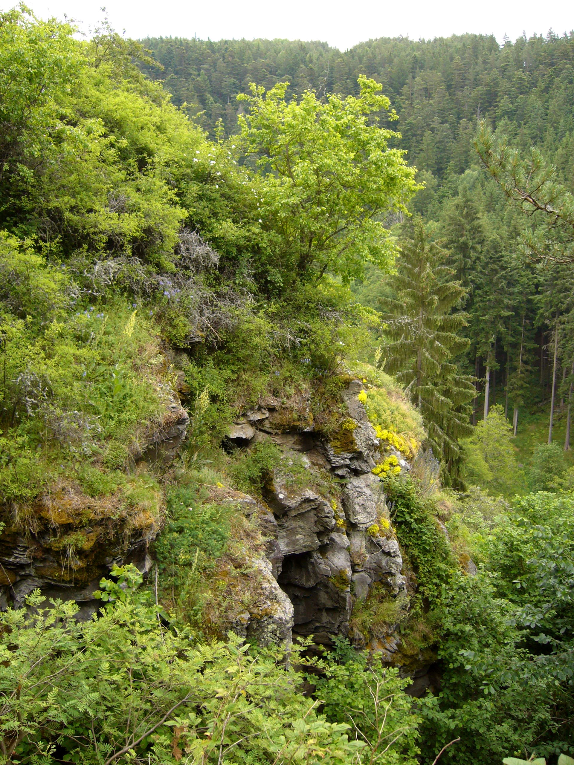 Dnešní pohled – Falštejn