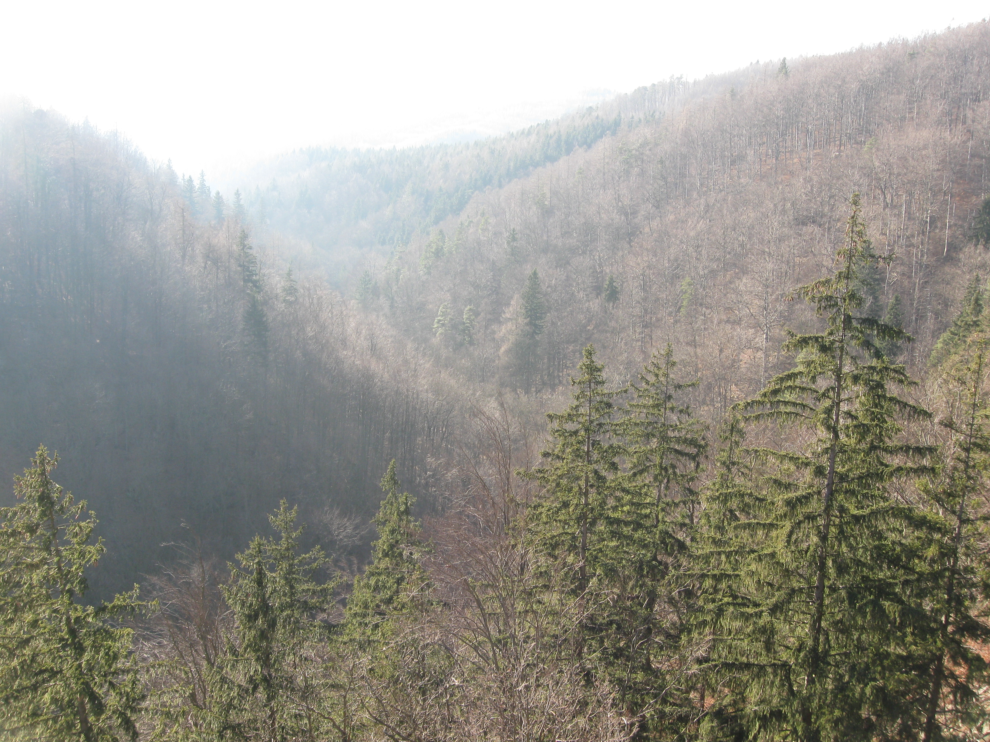Dnešní pohled – Pustý zámek