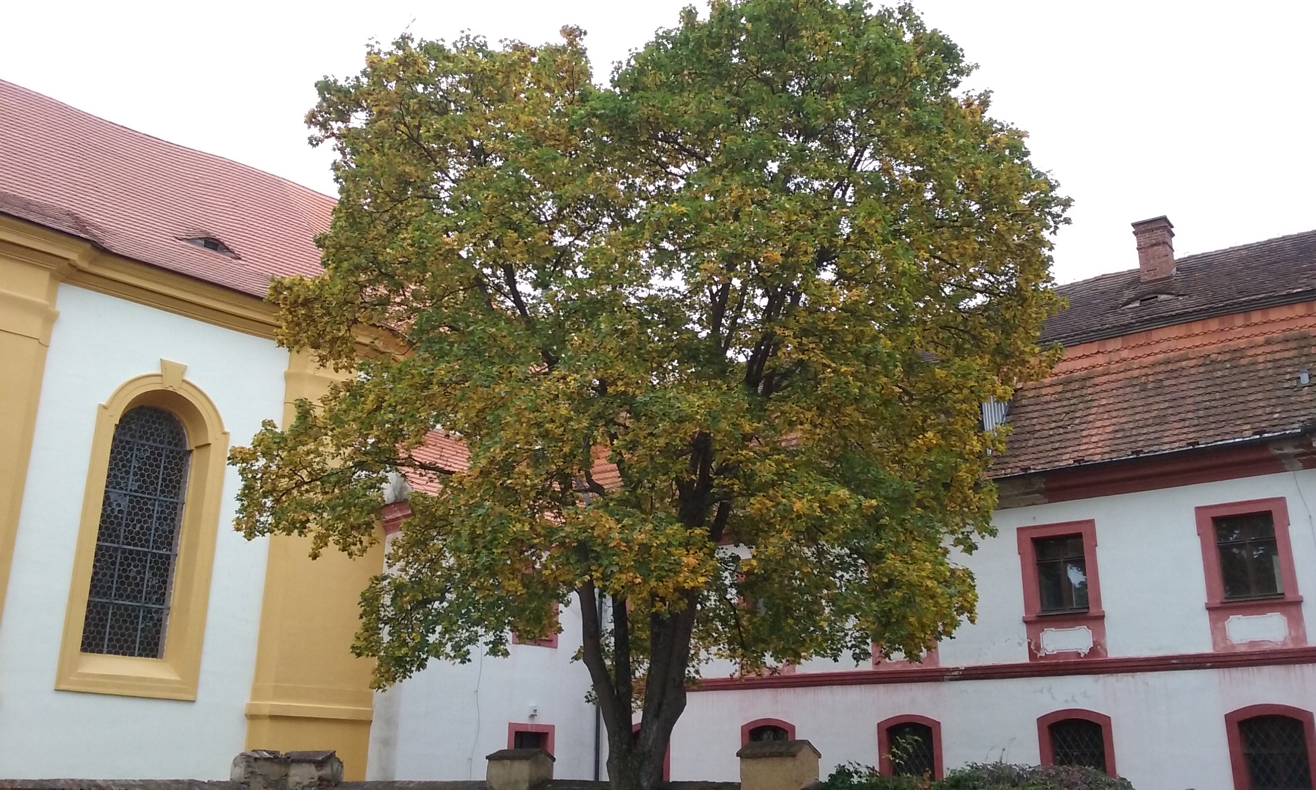 Dnešní pohled – Rabštejn nad Střelou