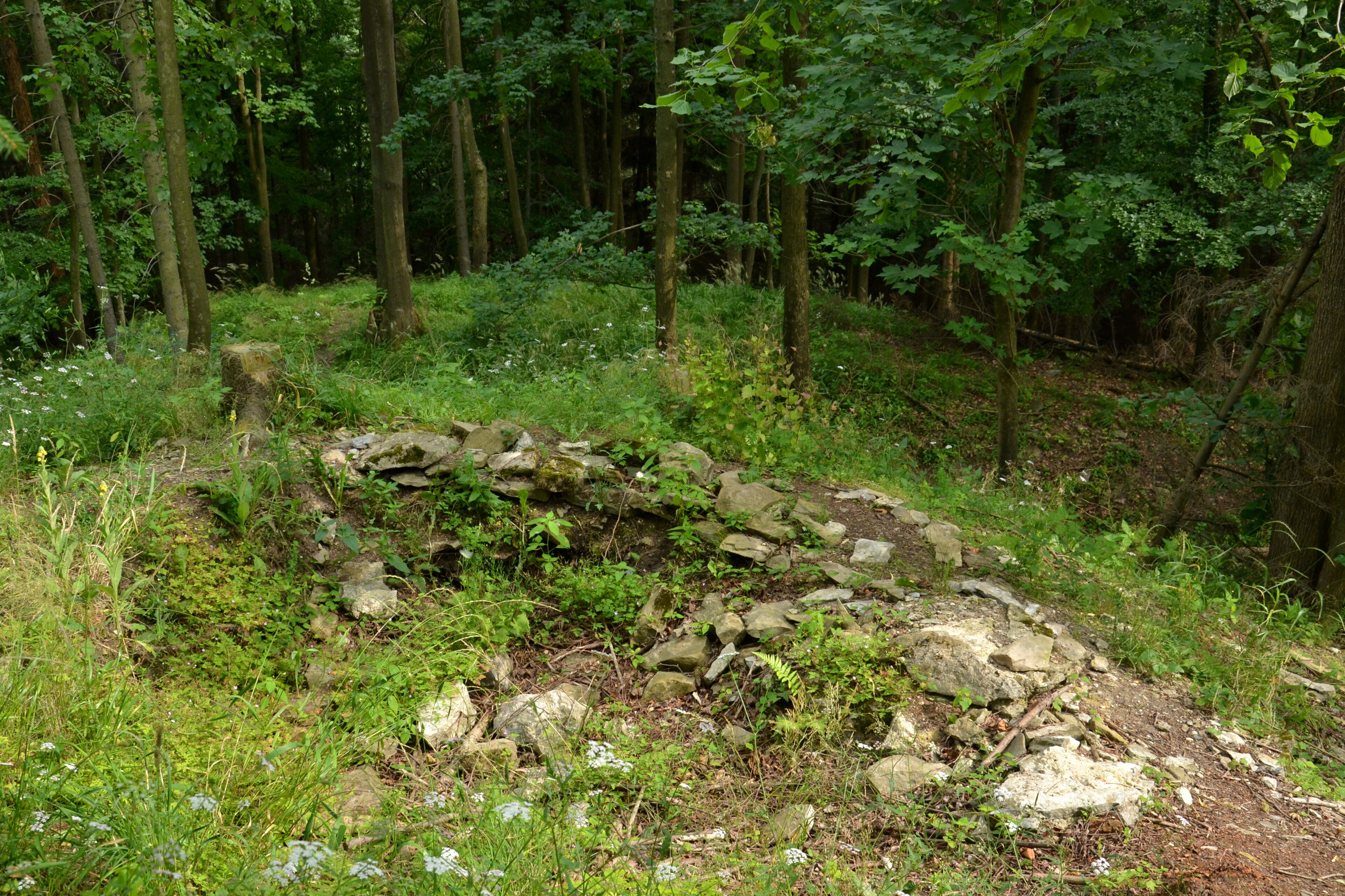 Dnešní pohled – Vlčinec