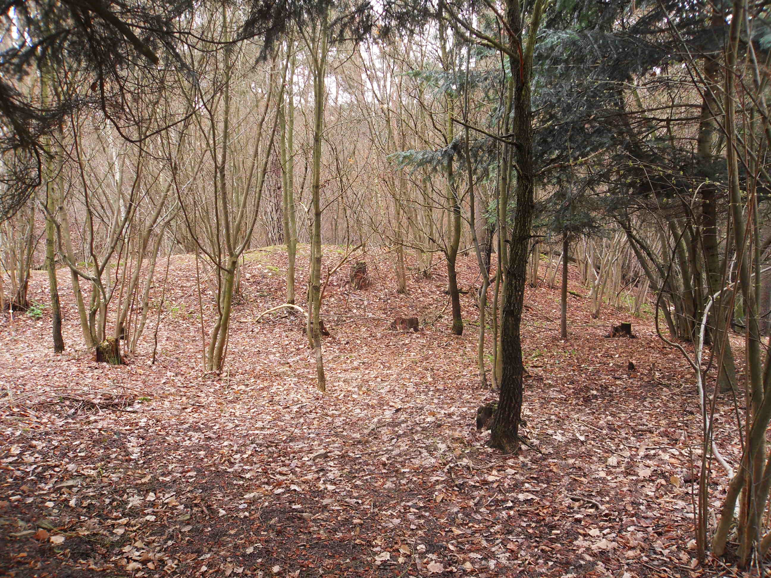 Dnešní pohled – Zbraslav