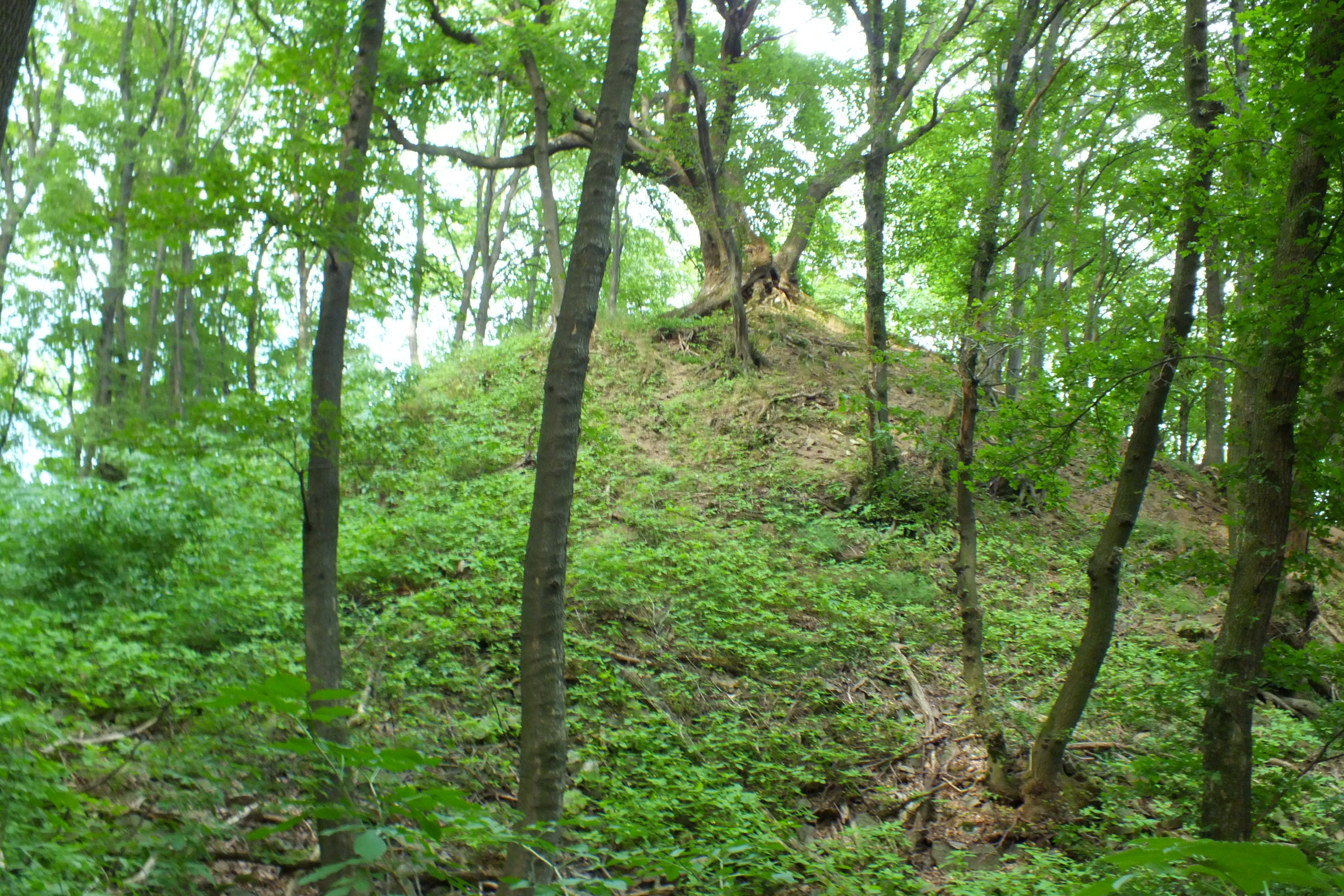 Dnešní pohled – Zuvačov