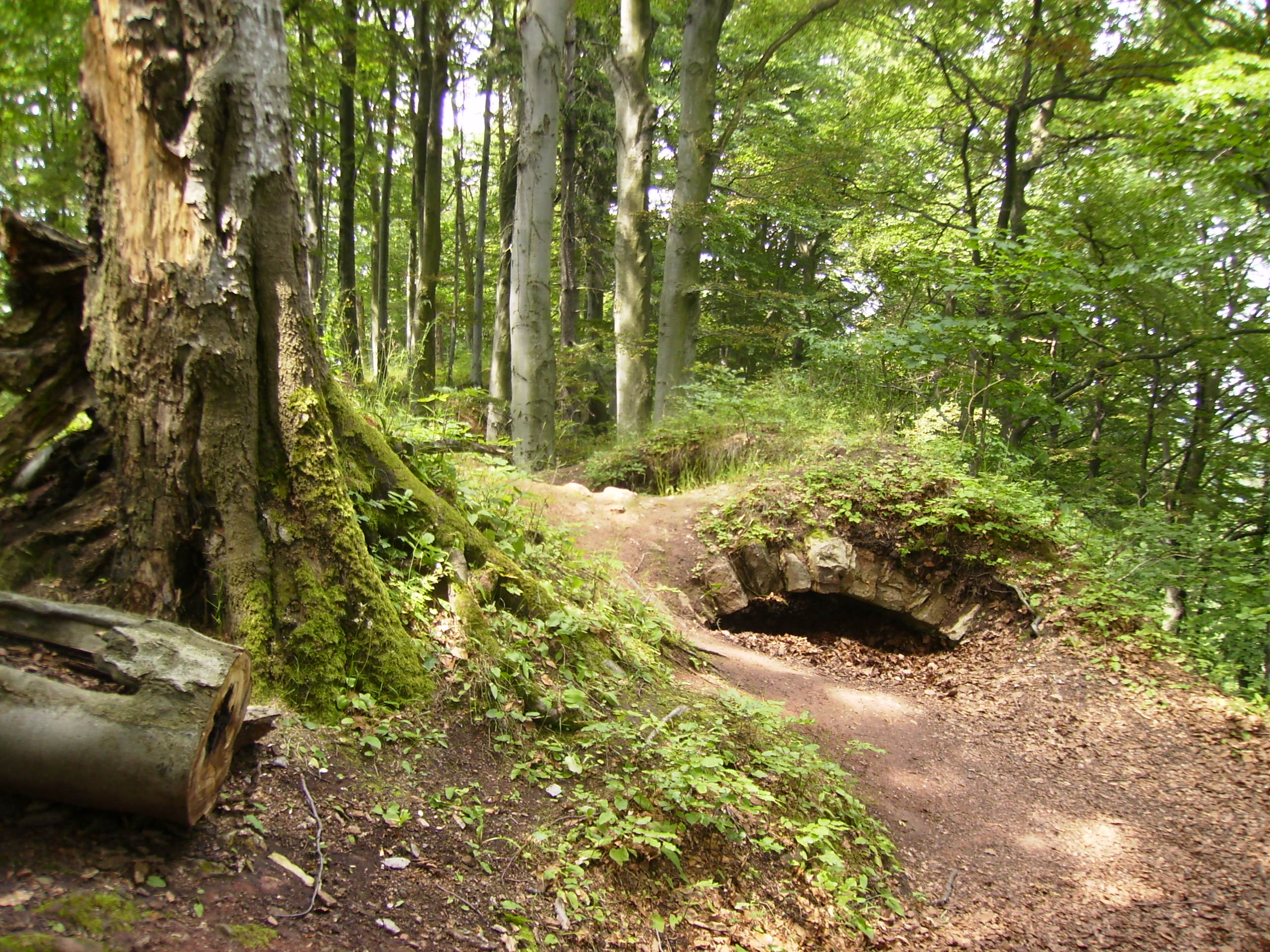Dnešní pohled – Žampach