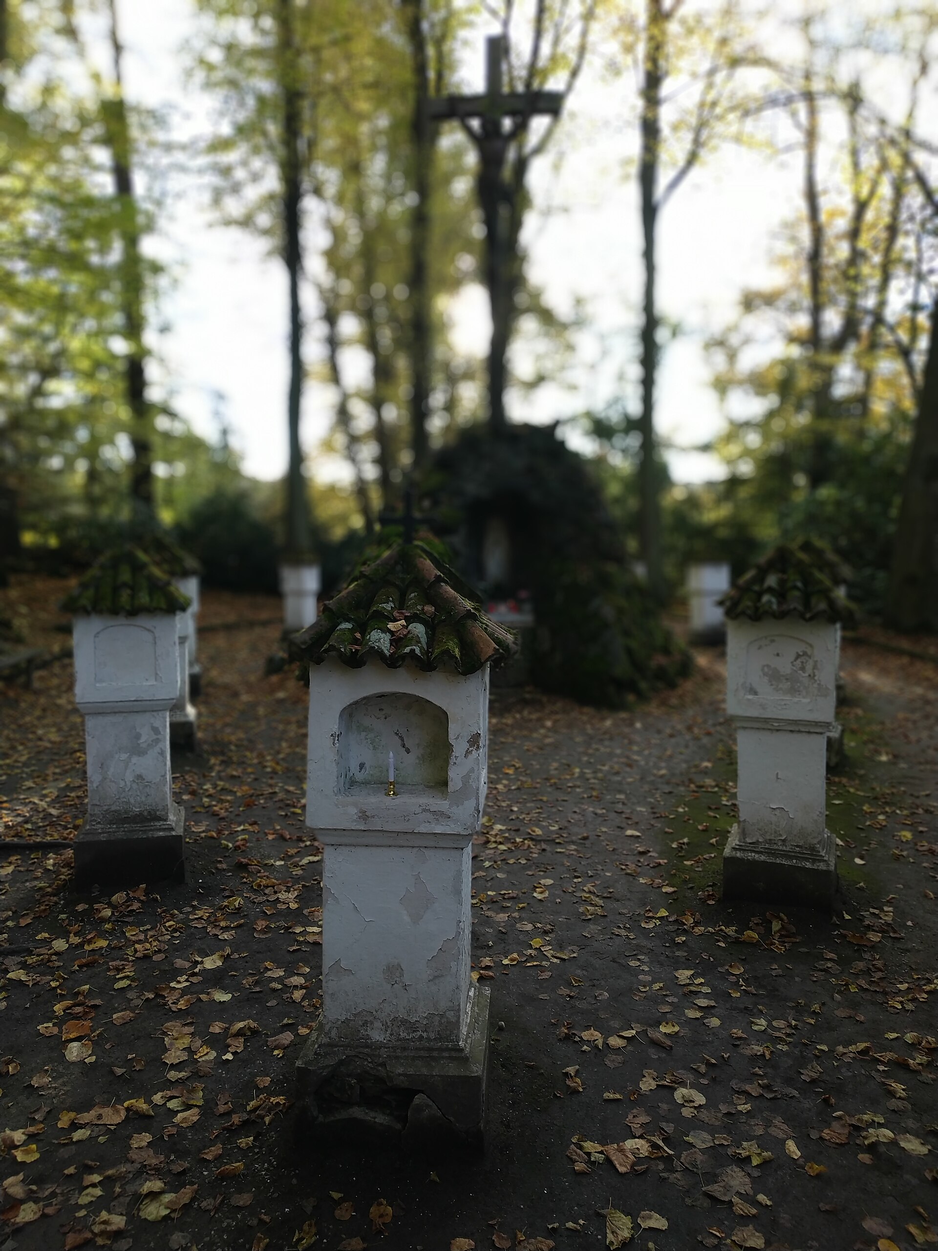 Dnešní pohled – Růžová zahrada