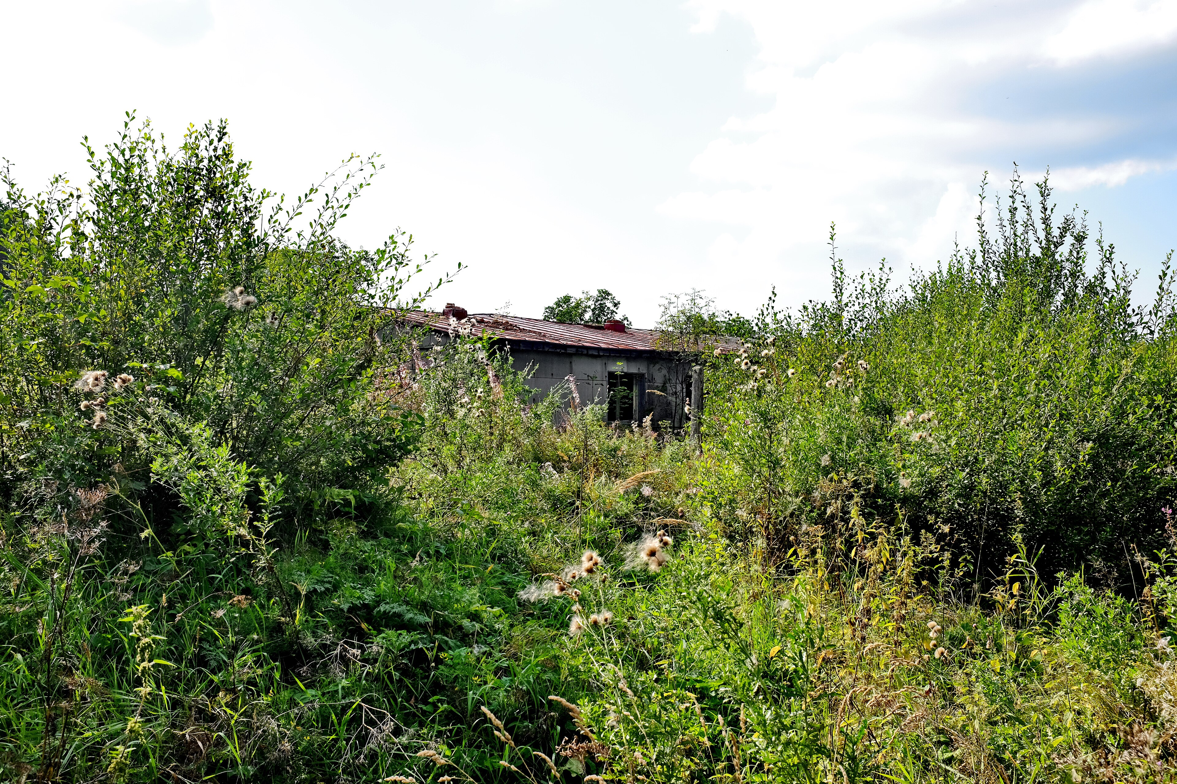 Dnešní pohled – Václav