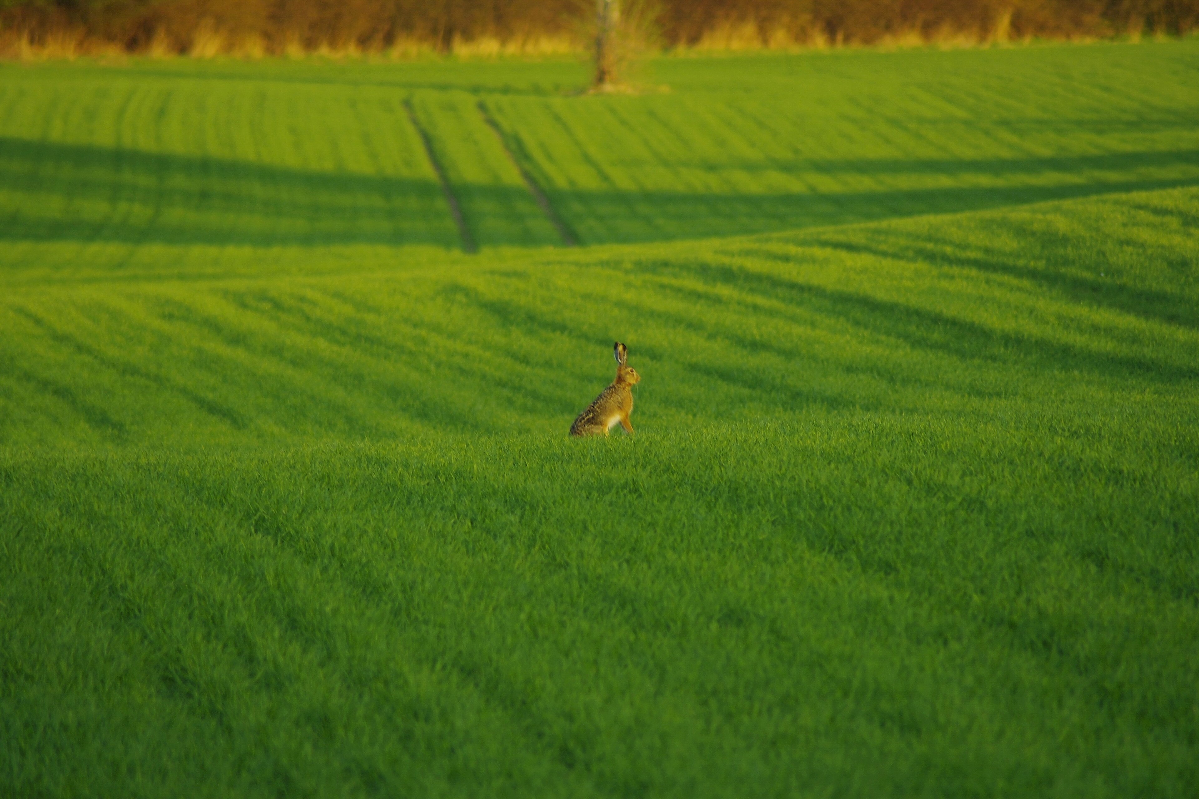 Dnešní pohled – kaple svatého Floriána (Držovice)