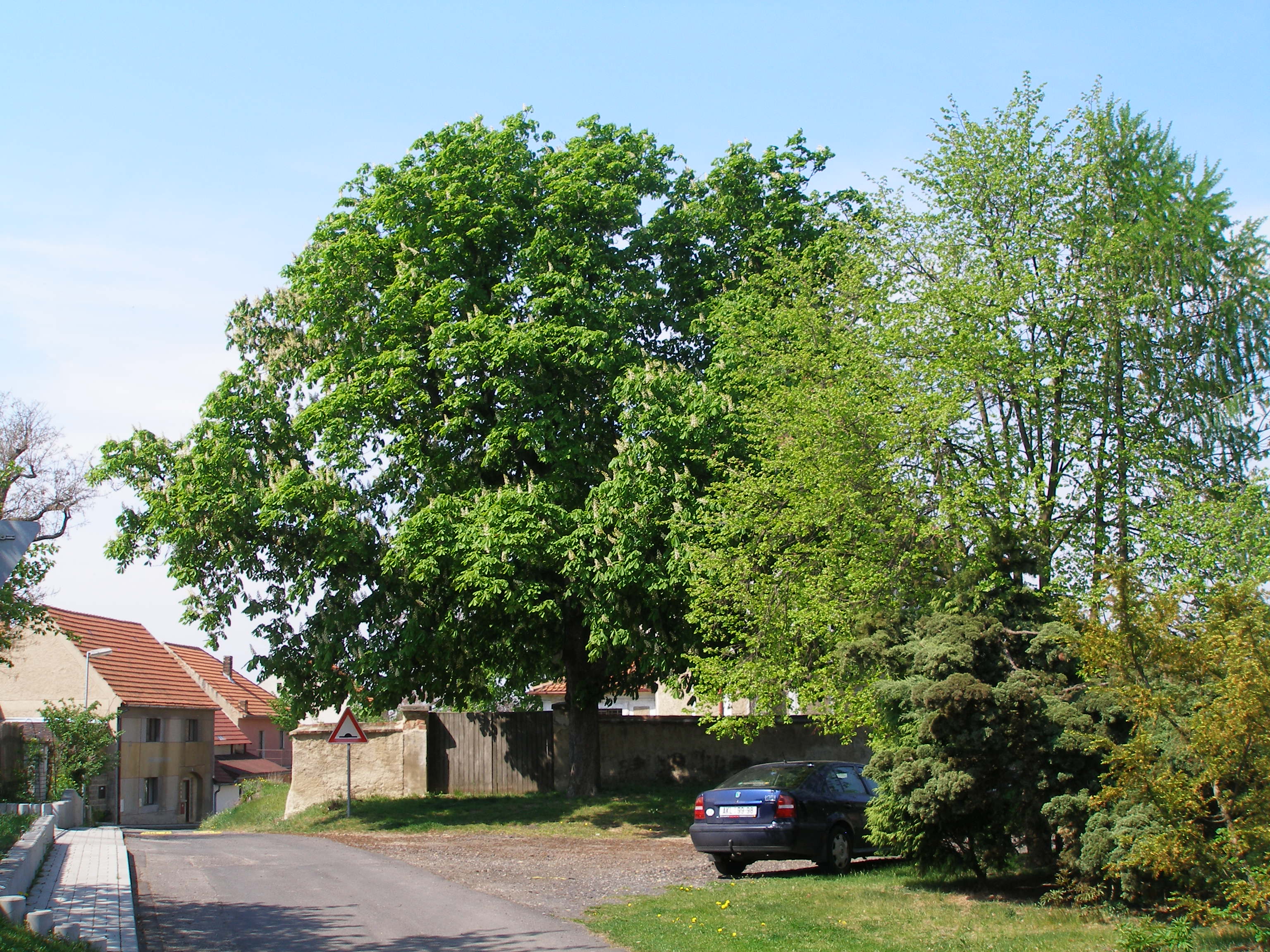 Dnešní pohled – kostel svatého Bartoloměje (Černouček)