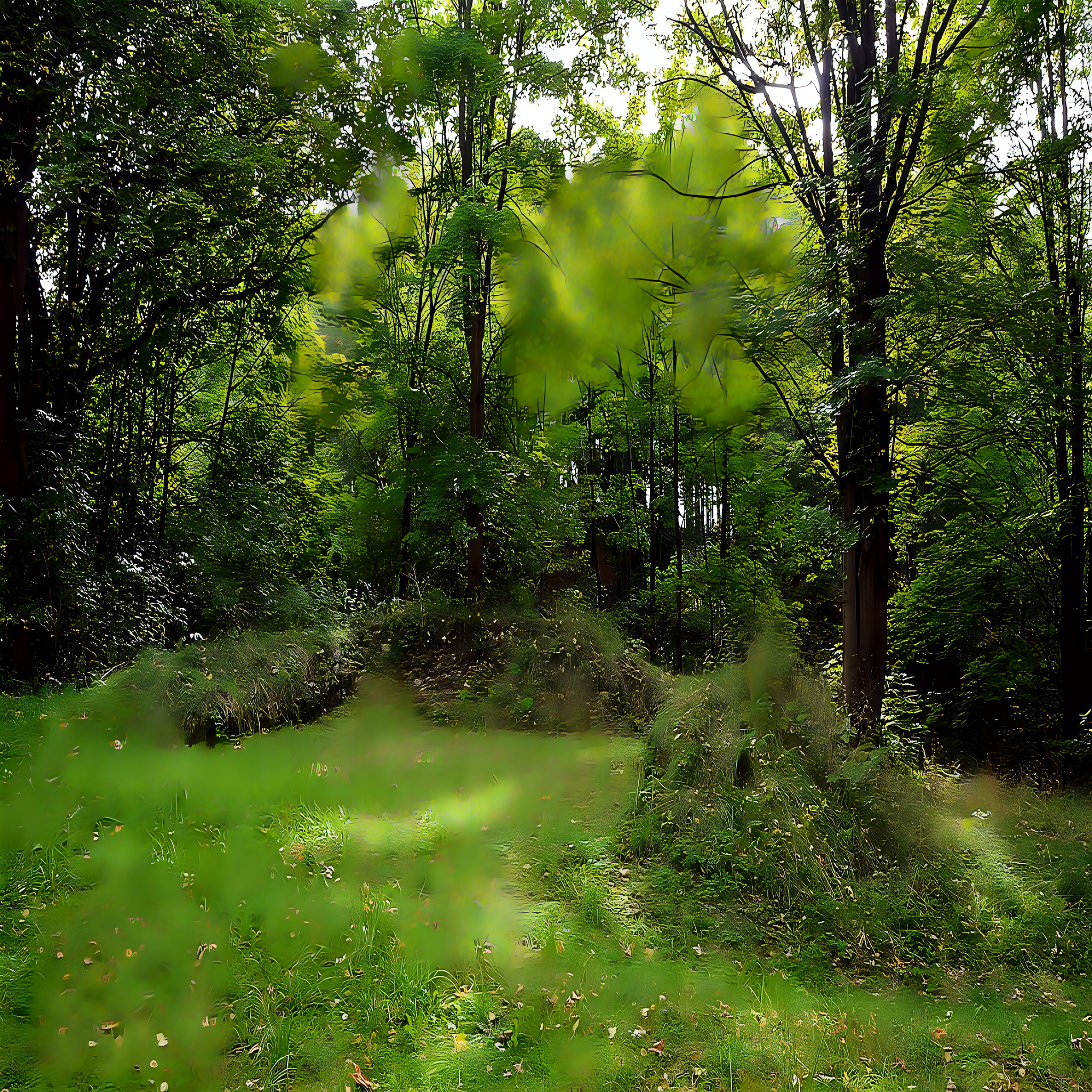 
<span>Boršegrýn</span>
