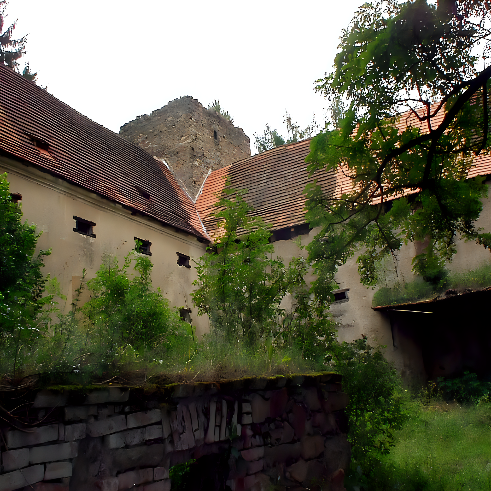 
<span>Buzice</span>
