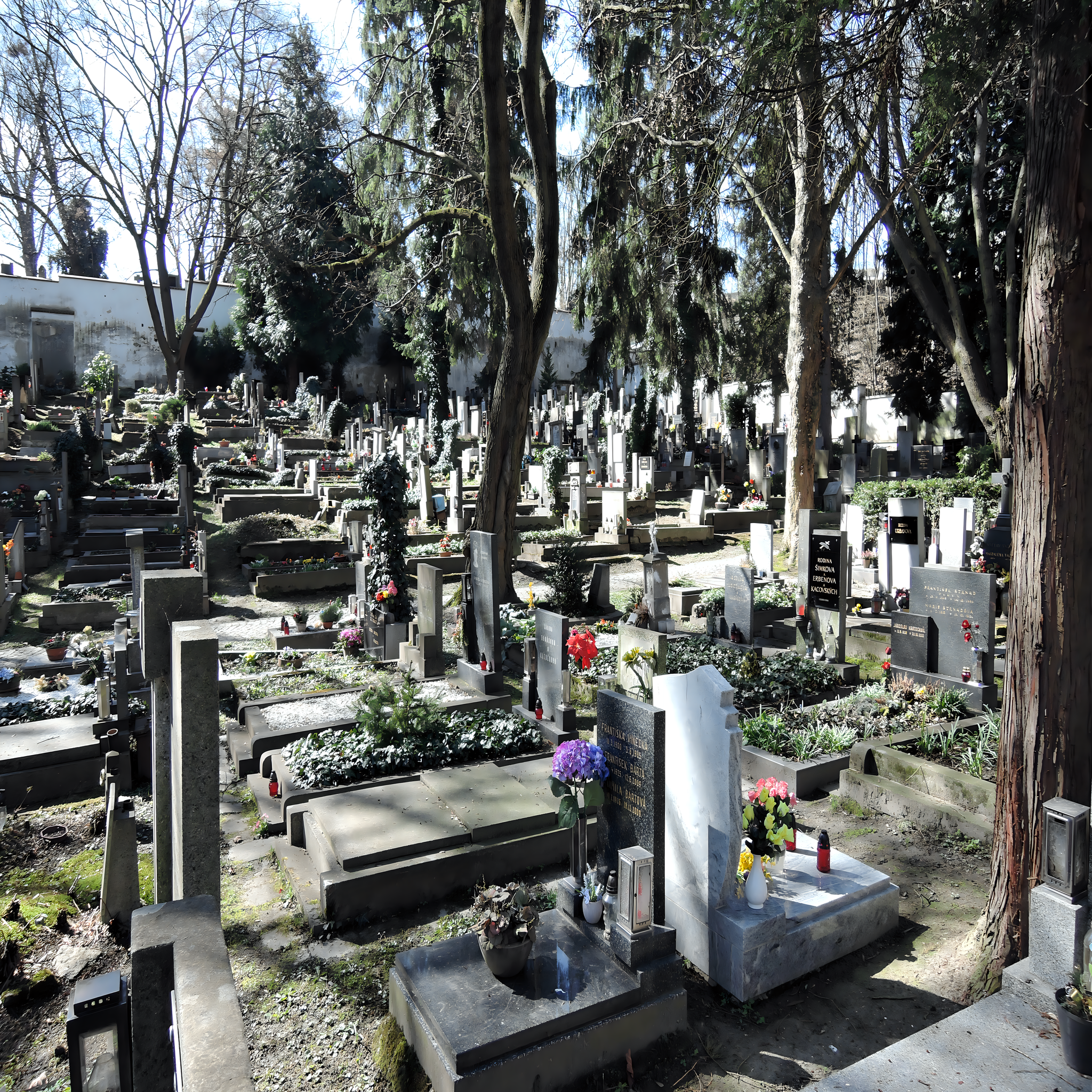 
<span>Břevnovský hřbitov</span>
