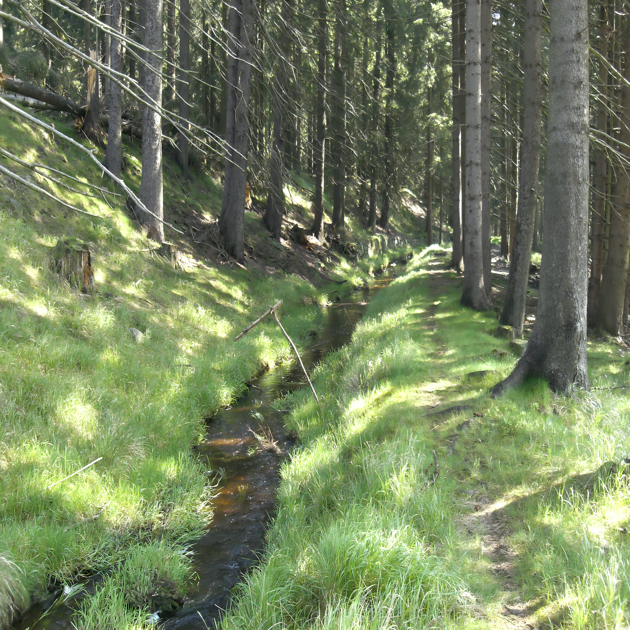 
<span>Dlouhá stoka</span>
