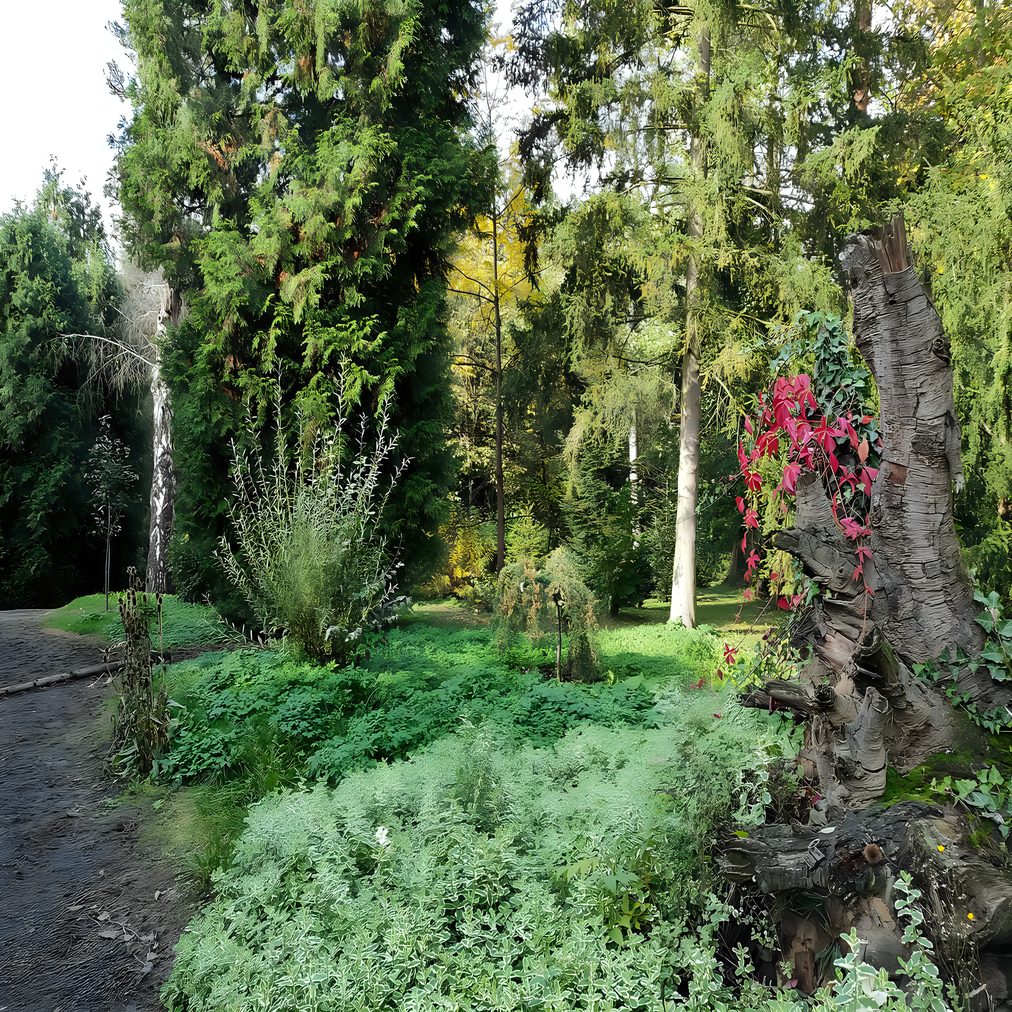 
<span>Arboretum Střední lesnické školy v Hranicích</span>
