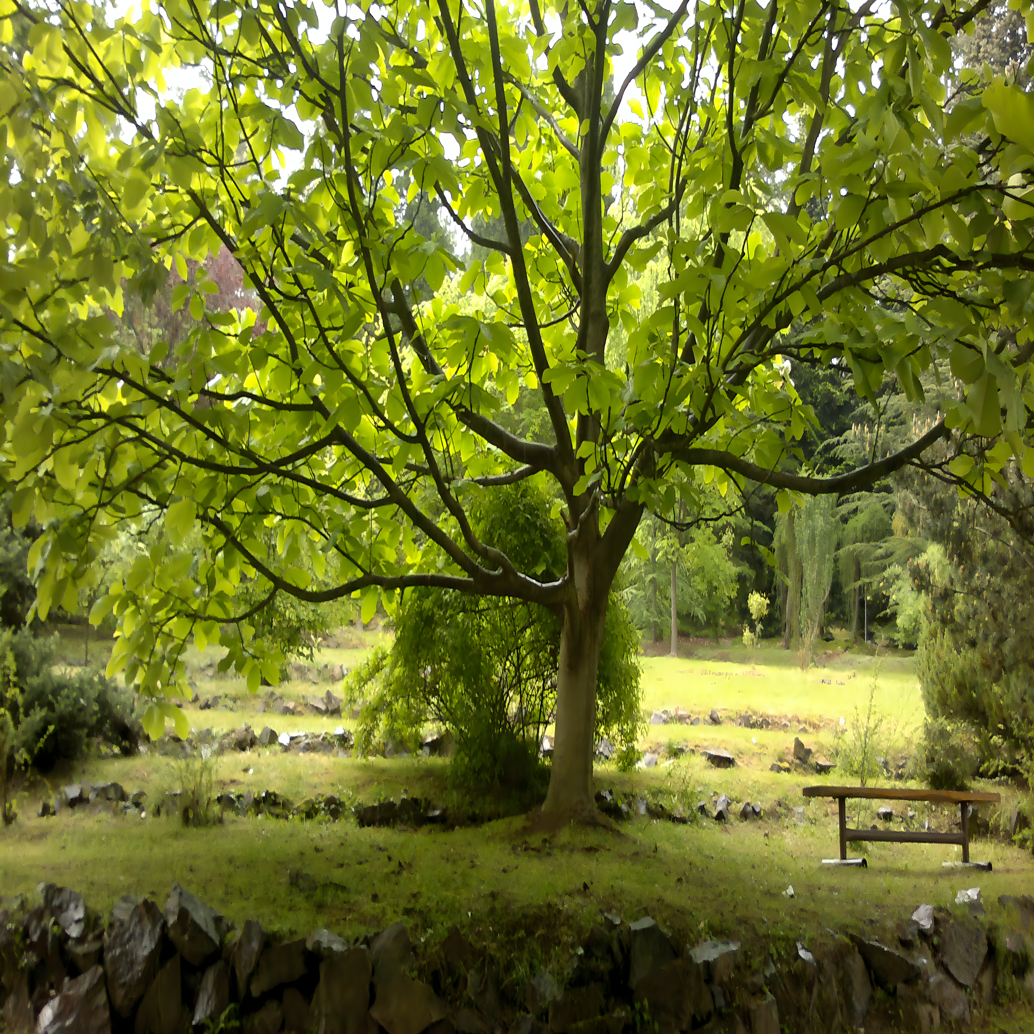 
<span>Arboretum ČZU v Kostelci nad Černými lesy</span>
