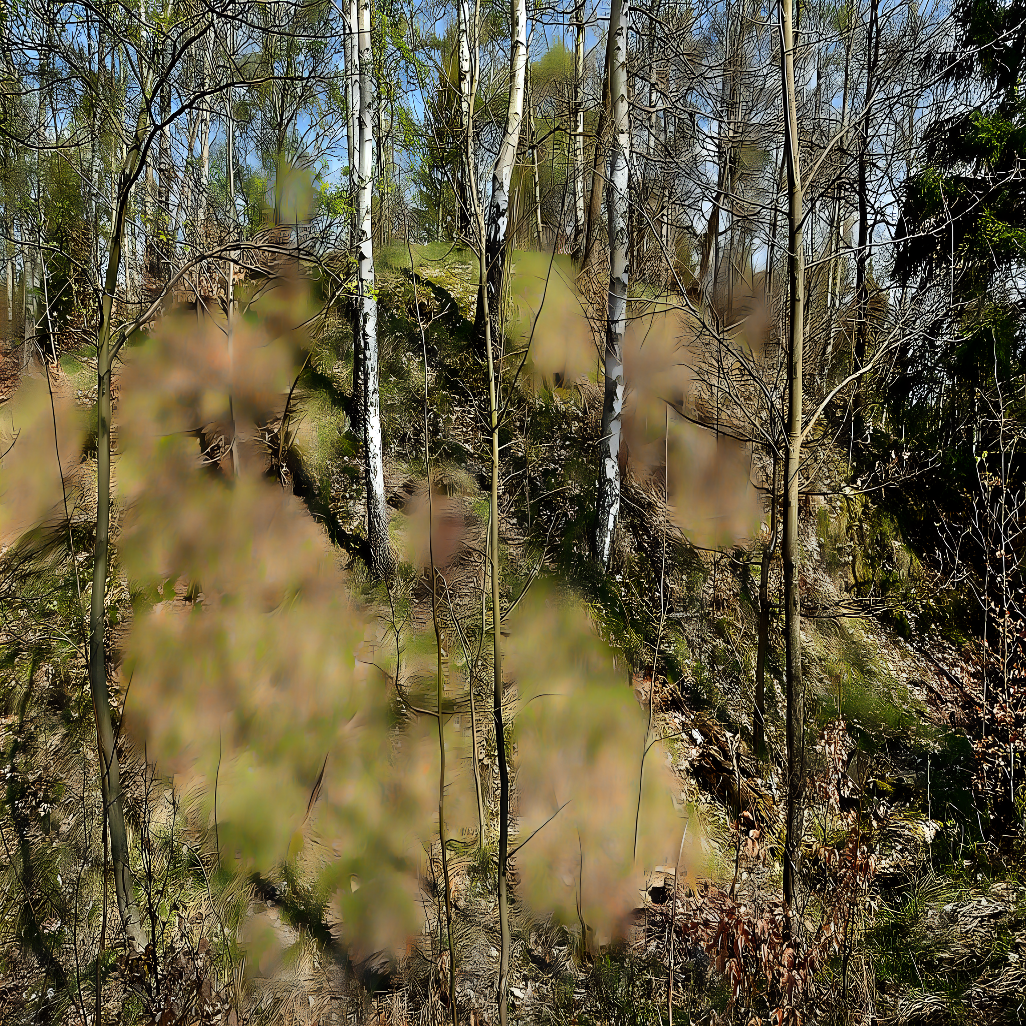 
<span>Hausberk (Křimov)</span>
