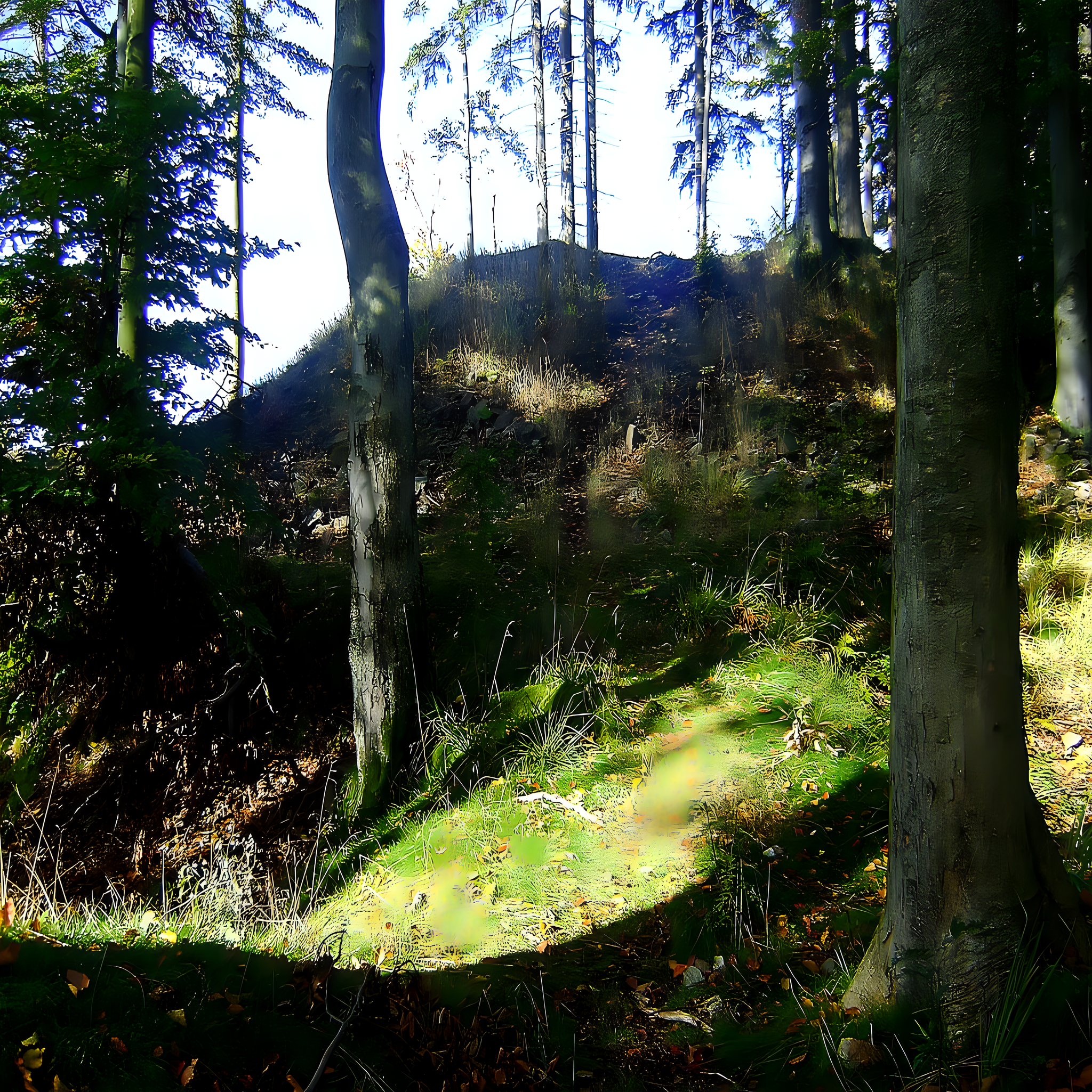 
<span>Hengst</span>
