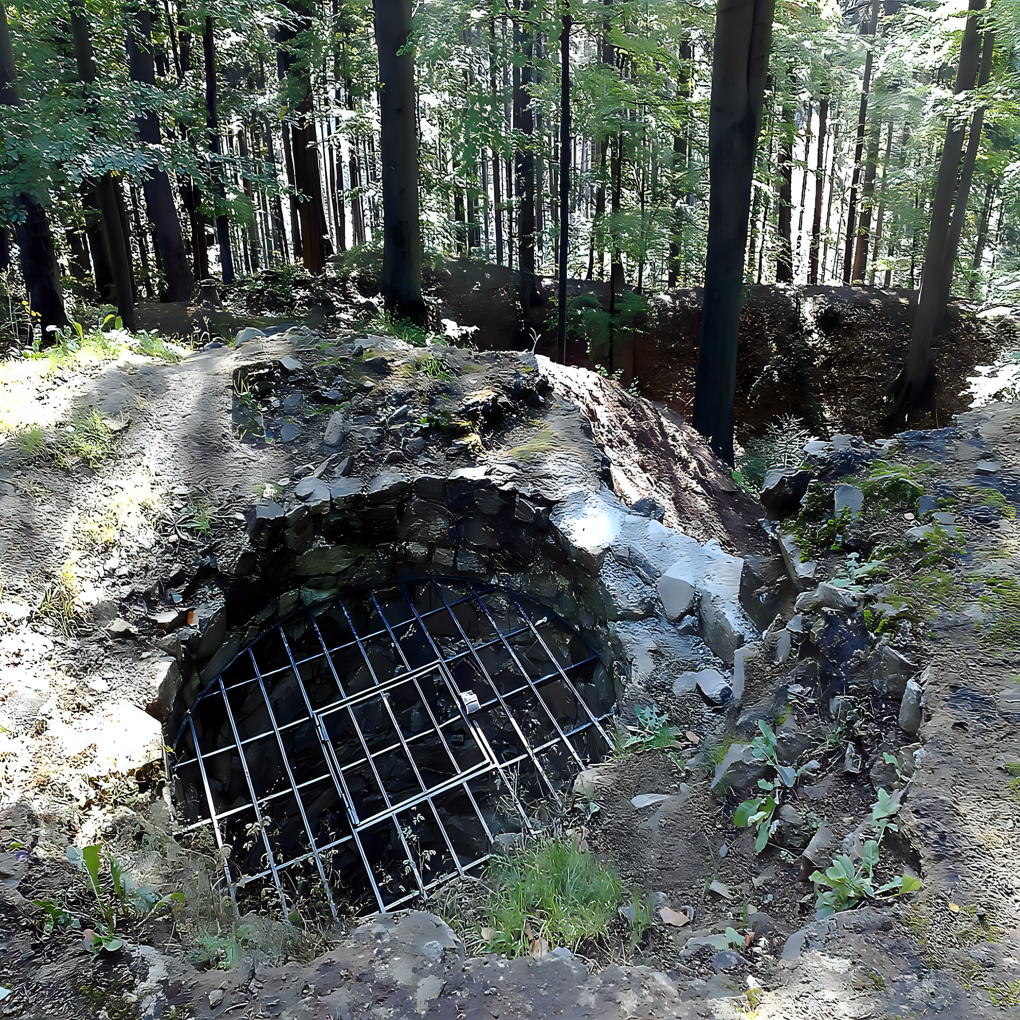 
<span>Krásný Buk</span>
