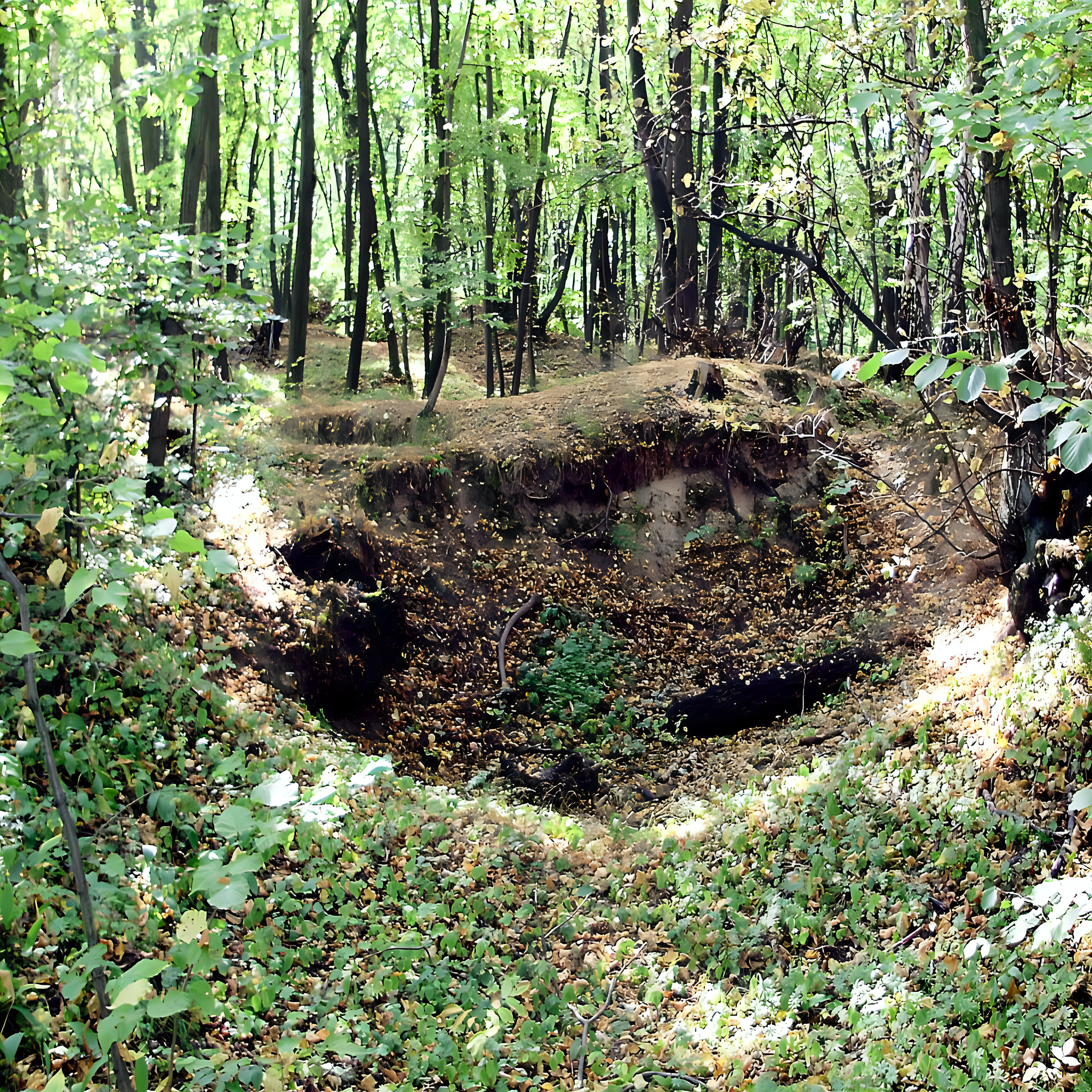 
<span>Orlovice</span>
