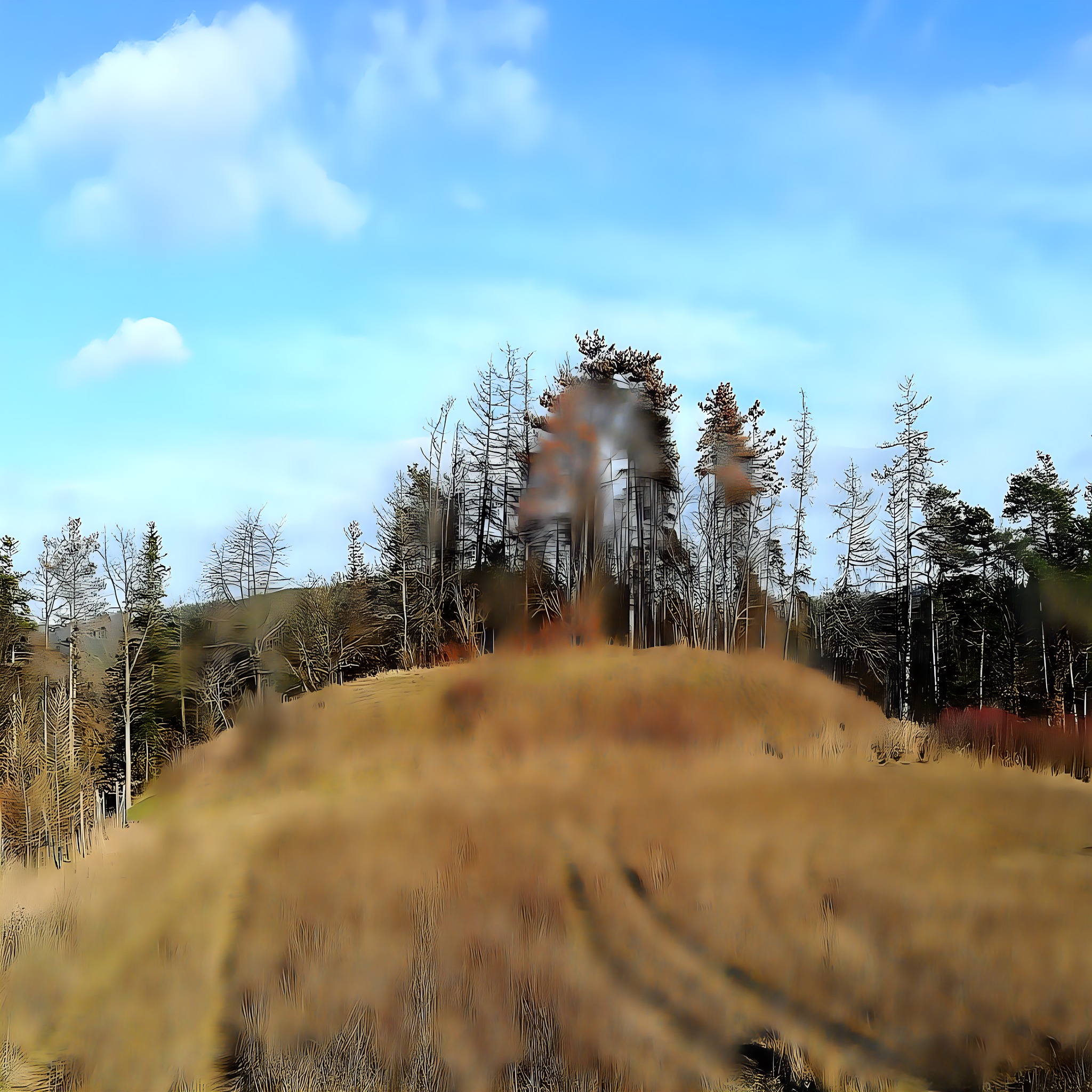 
<span>Rysov (Tišnovská Nová Ves)</span>
