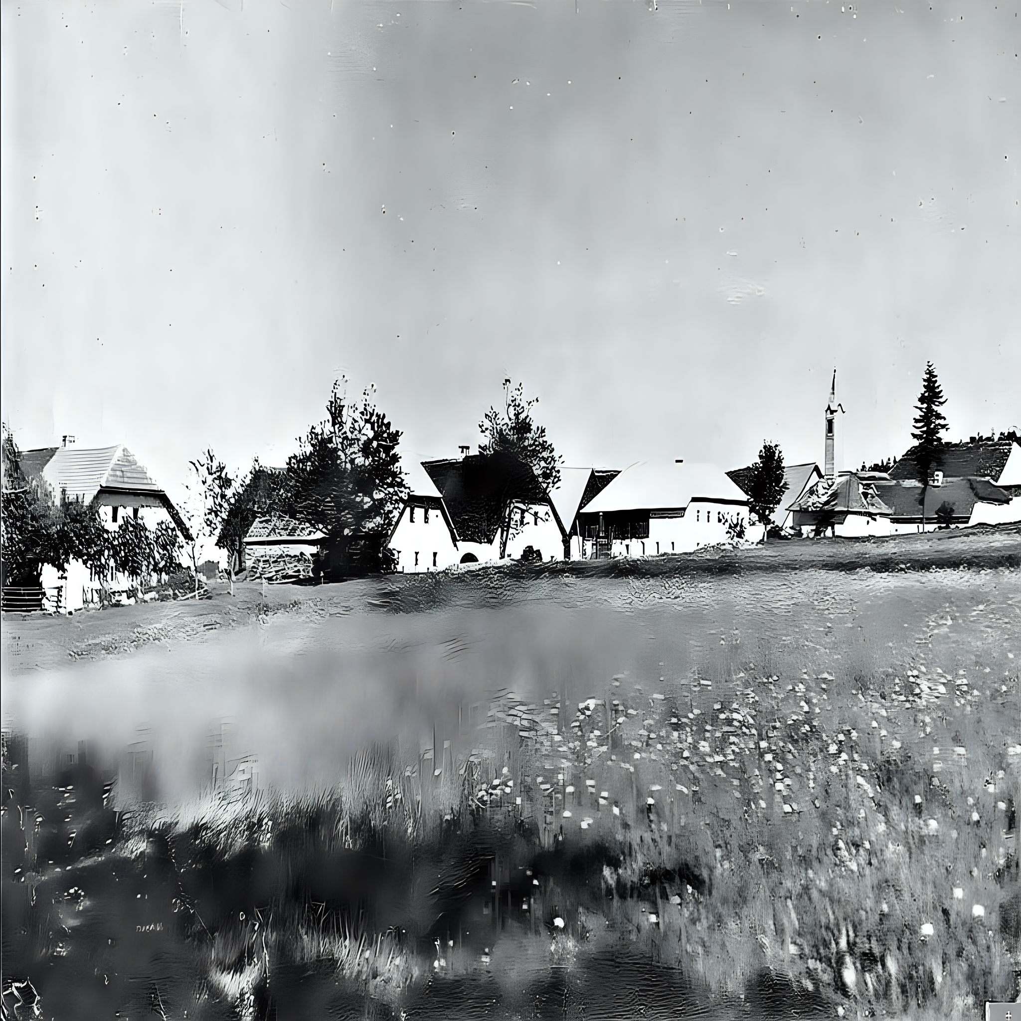 
<span>Pasečná</span>

