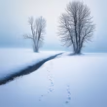 Bambouch – winter