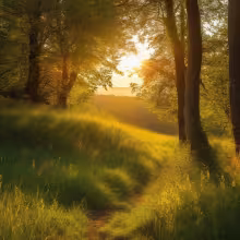 Chaloupky – summer