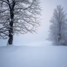 Chaloupky – winter