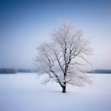 Dobrovského 1 – winter