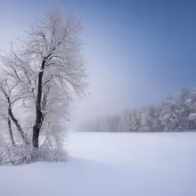 Dolní Česká 10 – winter