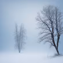 Domy Výpravní 3,5,7 – winter