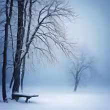 Dvůr Chlumín – winter