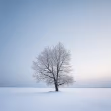 Klášter klarisek ve Znojmě – winter