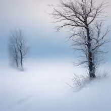Klášter Pustiměř – winter