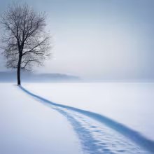 Kohnův most – winter