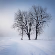 kostel Rozeslání svatých Apoštolů (Chotěšice) – winter