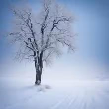 Kostel svatého Josefa (Moravská Ostrava) – winter