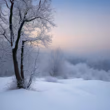 Kostel svatého Linharta (Dolní Studénky) – winter