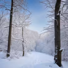 Kostel svatého Matěje – winter
