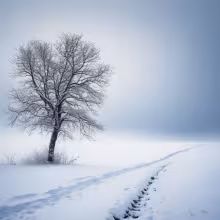 kostel svatého Vavřince (Klobouky u Brna) – winter