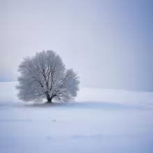 Lomnice nad Lužnicí – winter