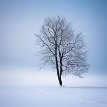 Minoritský klášter v Českém Krumlově – winter